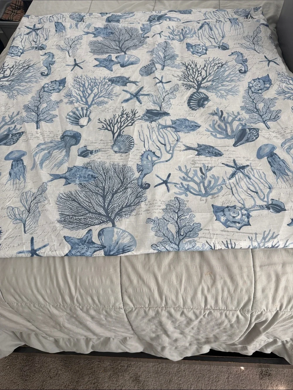 Coastal Blue Seashell shower curtain